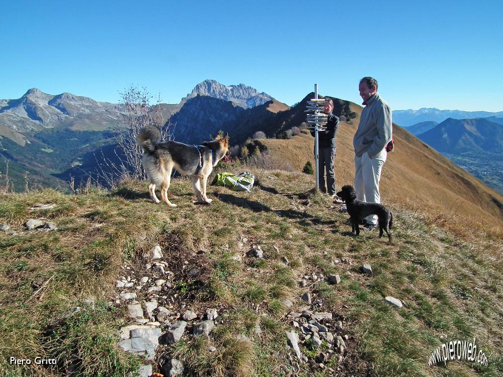 22 Escursionista con barboncino in vetta con noi.JPG